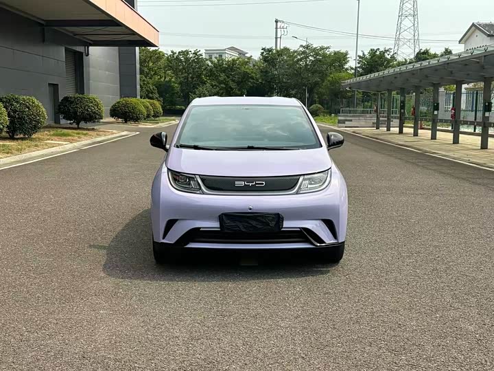 2023 Dolphin 2023 420km Free Edition