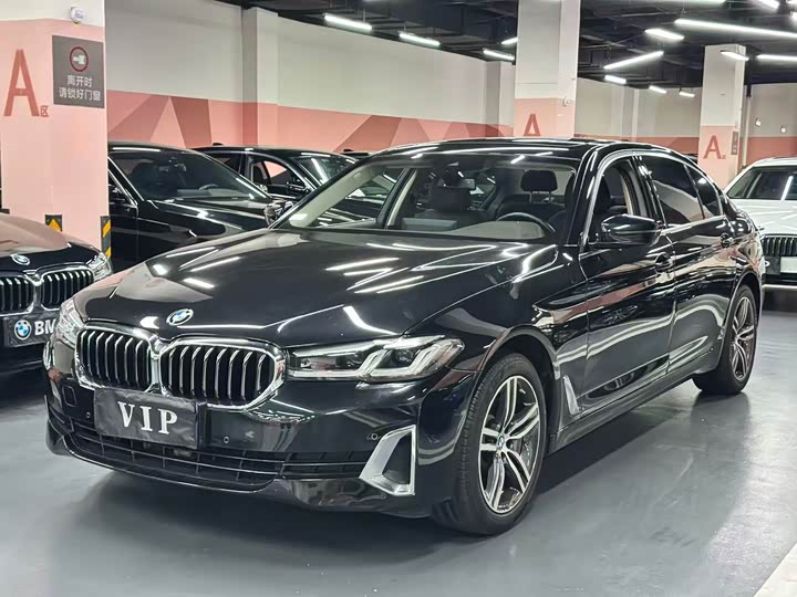 BMW 5 Series 2021 530Li Leading Luxury Package