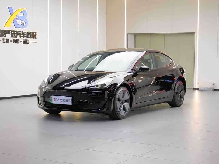 Model 3 2021 standard range rear drive upgraded version 3D6