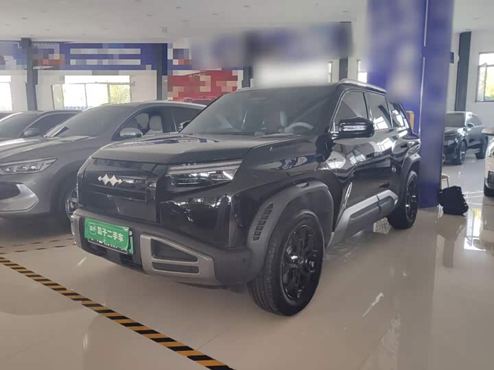 Titanium 3 2025 501KM rear drive Max version