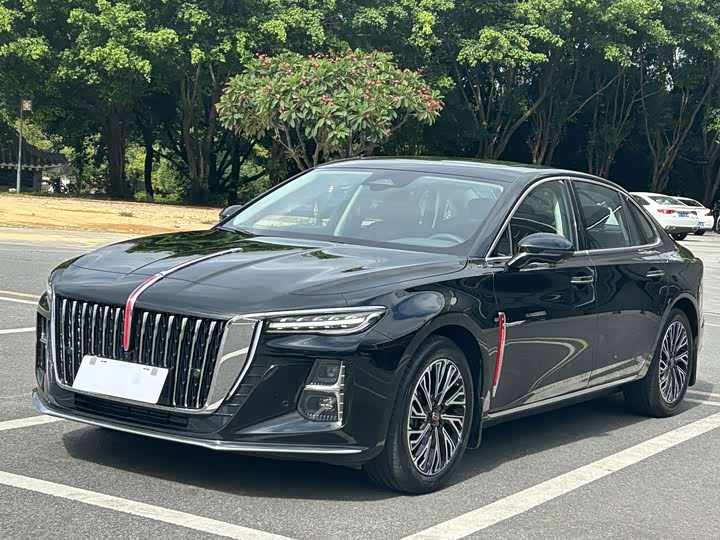 Hongqi H5 2024 2.0T Automatic Zhilianqichang Edition