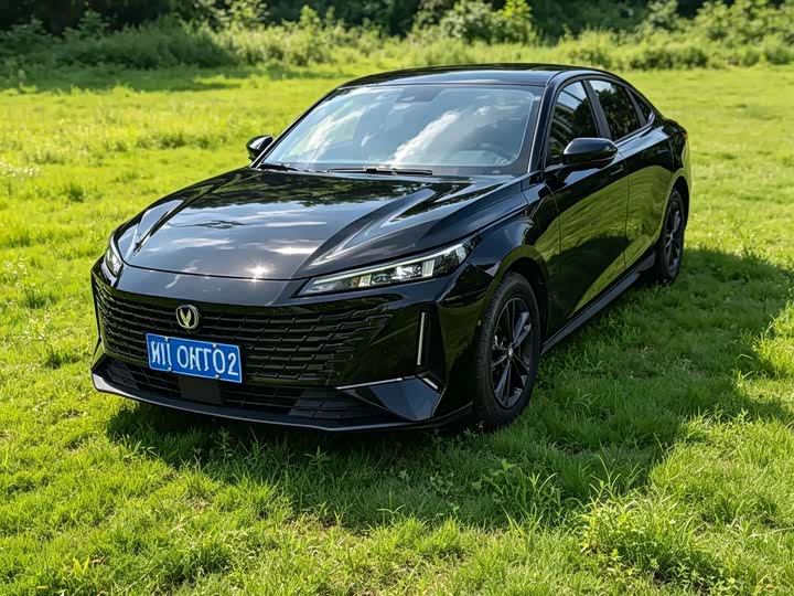 Yida 2023 Blue Whale NE 1.5T GDI DCT Exclusive Type