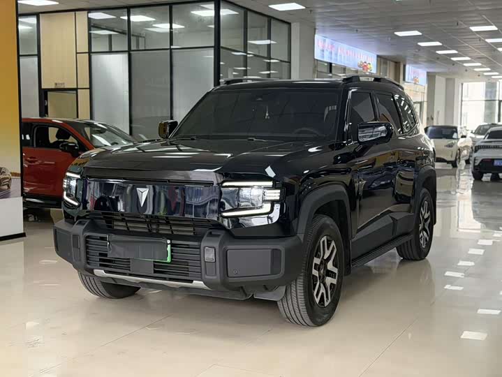 Dark blue G318 2024 two-wheel drive comfort version