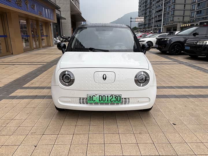 2022 Euler Black Cat 2022 301km basic model ternary lithium