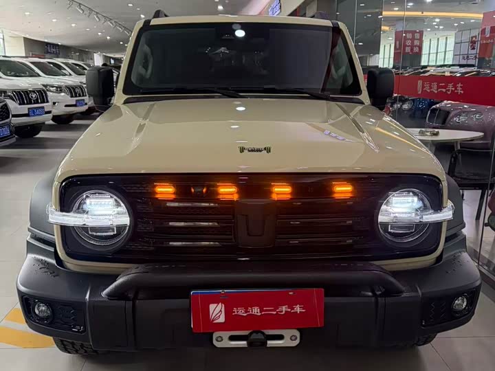 2025 Tank 300 2025 2.4T diesel version