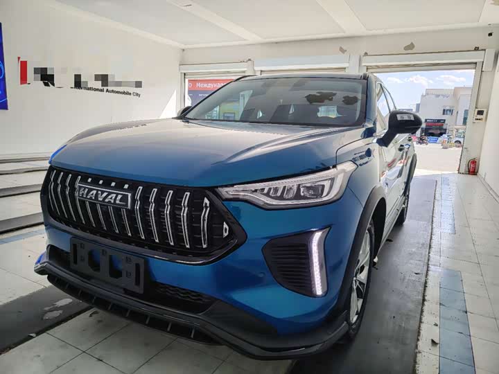 2022 Haval Red Rabbit 2022 Exclusive Edition 1.5T Red Bronze Rabbit