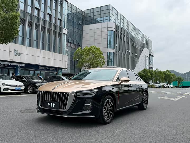 Hongqi H5 2024 2.0T Automatic Zhilianqichang Edition