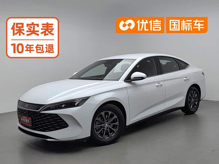 Qin L 2024 DM-i 80KM leading model