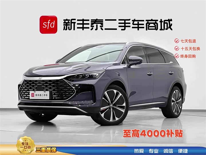 Tangxin Energy 2022 DM-p 215KM four-wheel drive exclusive model