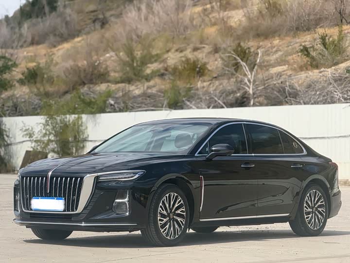 Hongqi H5 2024 2.0T Automatic Zhilianqichang Edition