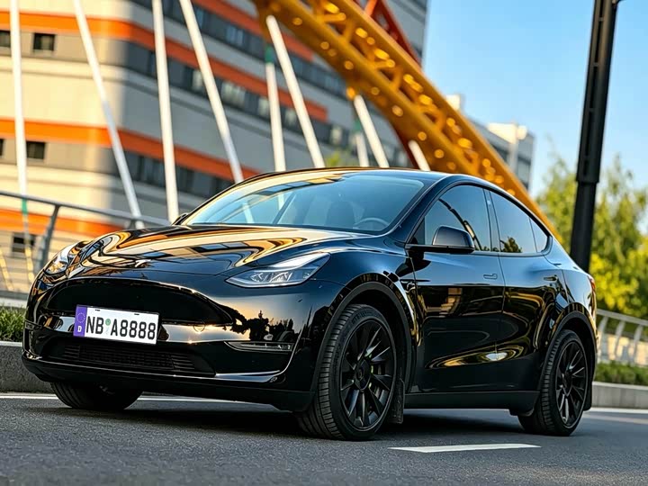 2022 Model Y 2021 standard range rear-wheel drive version