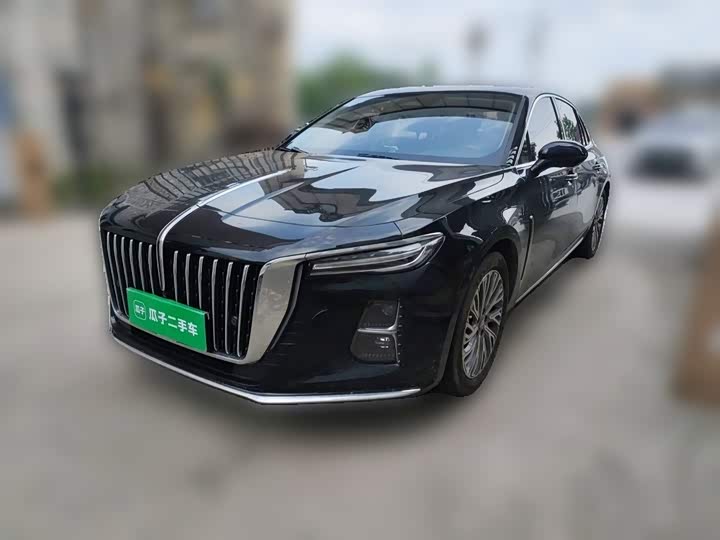 Hongqi H5 2023 2.0T Automatic Zhilianqichang Edition
