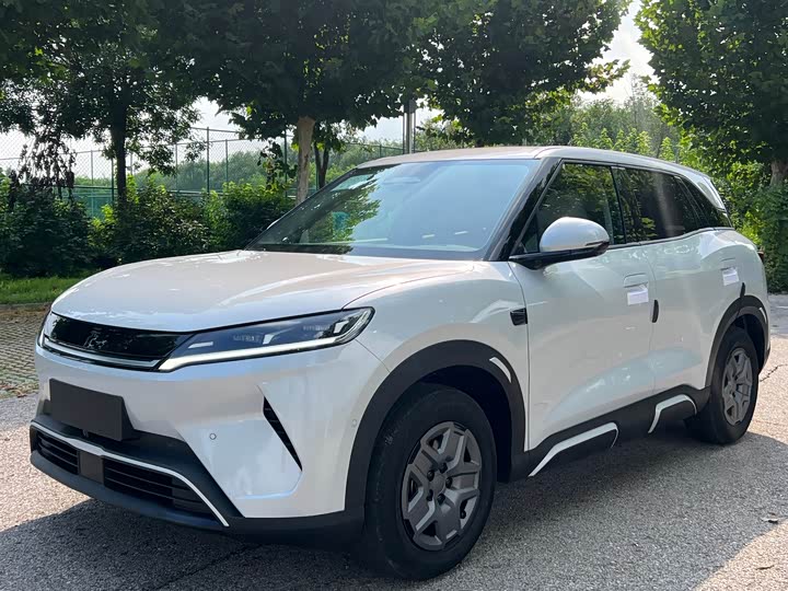 Yuan UP 2025 Smart Driving Edition 401KM Vitality Edition