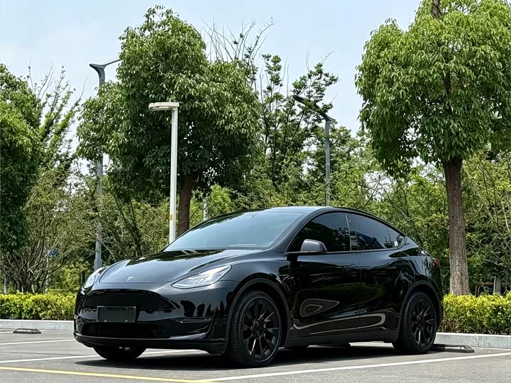 Model Y 2021 standard range rear-wheel drive version