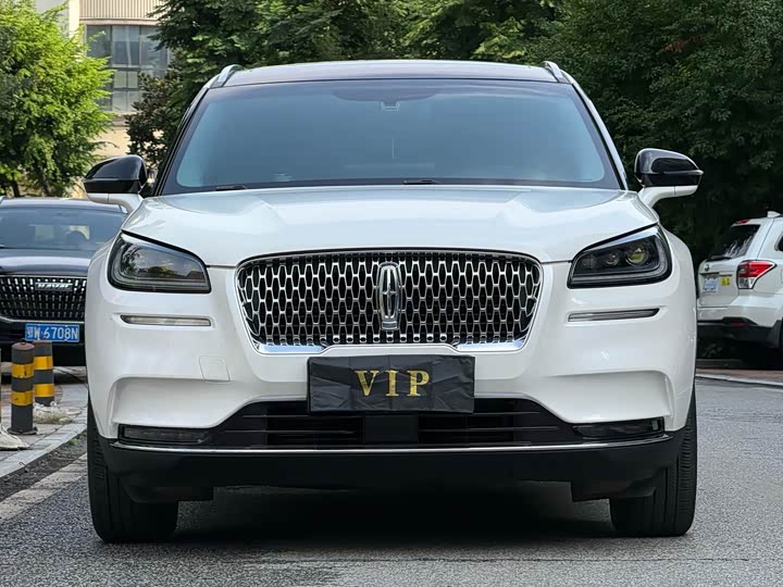 Adventurer 2021 2.0T two-wheel drive exclusive edition