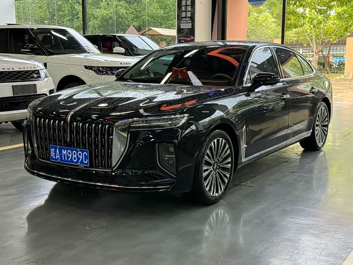 Hongqi H9 2024 2.0T Qichang Luxury Business Edition