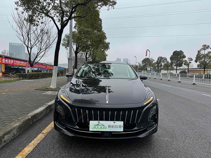 Hongqi E-QM5 2023 basic travel version