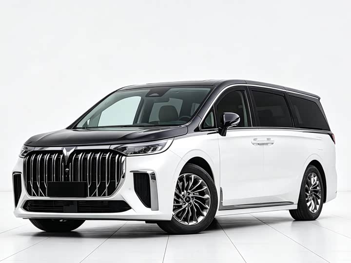 2024 Lantu Dreamer 2022 privately customized low-carbon version