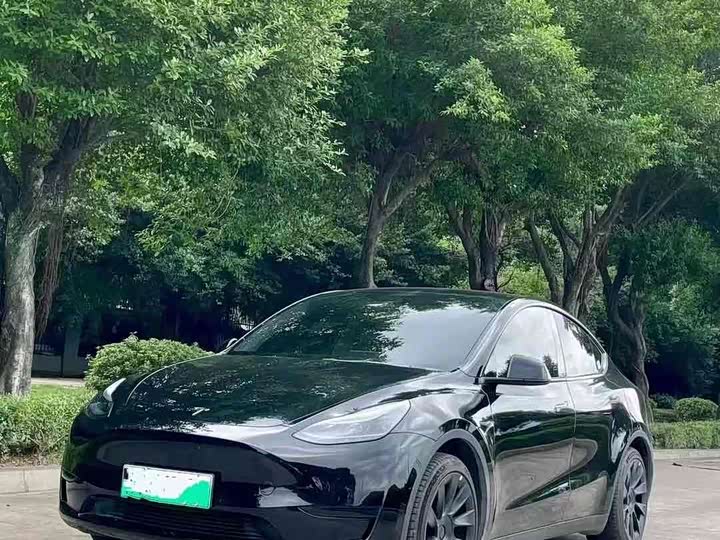 Model Y 2024 Model Edition