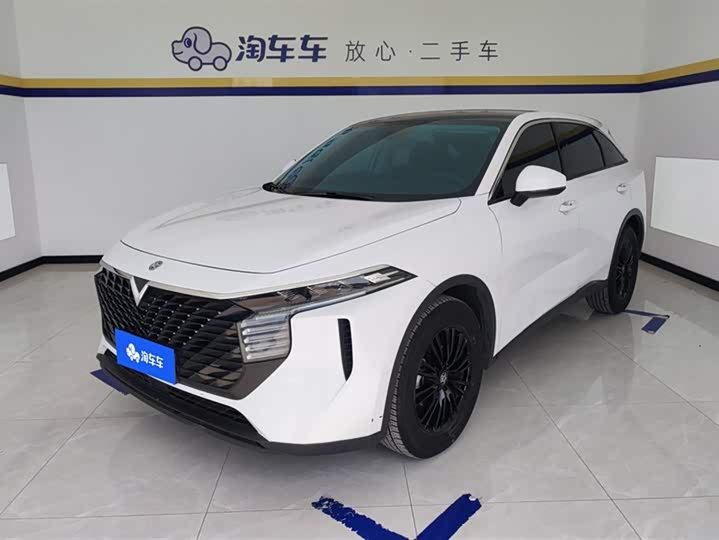 Venucia Big V 2022 260T Dark Horse Edition·Idol