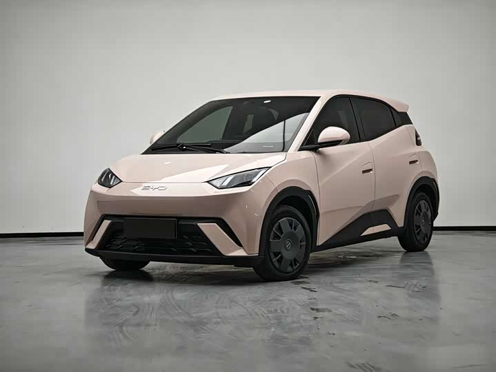 2024 Seagull 2024 Honor Edition 305km Vitality Edition