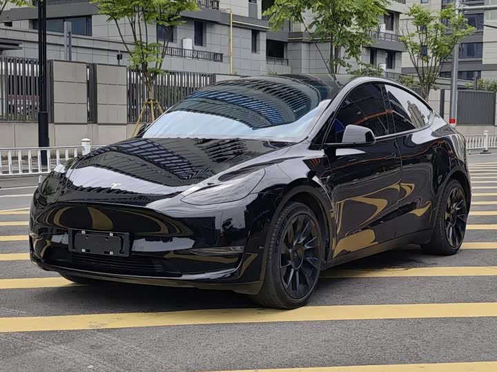 2022 Model Y 2021 standard range rear-wheel drive version