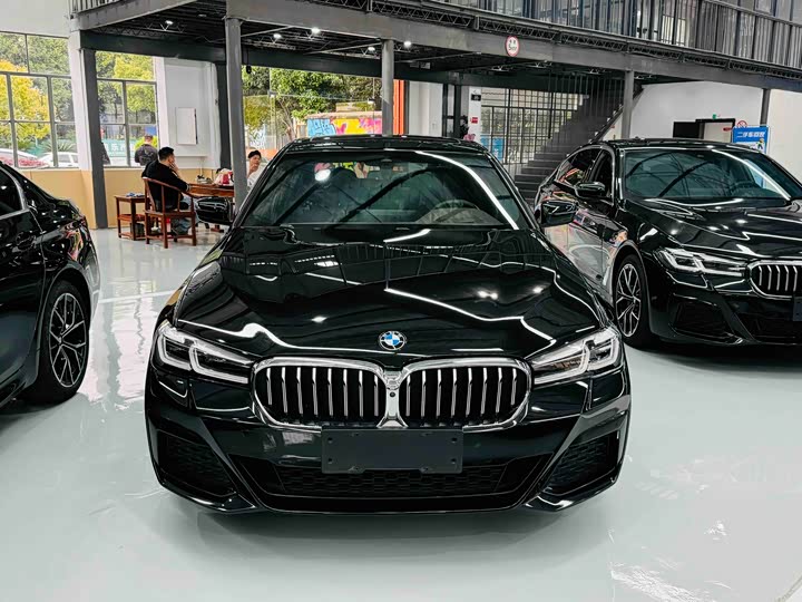 2021 BMW 5 Series 2021 530Li Exclusive M Sports Package