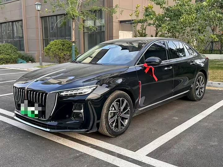 H5 PHEV 2025 Model 170 Edition
