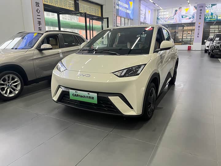 2024 Seagull 2024 Honor Edition 305km Vitality Edition