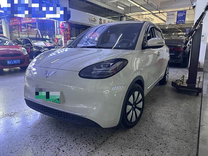 2024 Model 333km Model