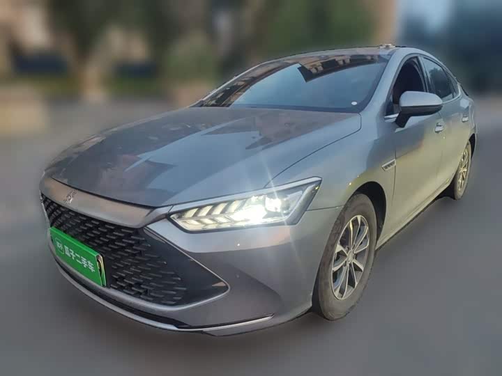 2024 Qin PLUS 2024 Honor Edition DM-i 55KM Leading Type