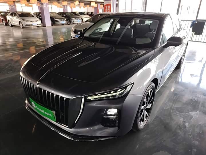 H5 PHEV 2025 Model 170 Edition