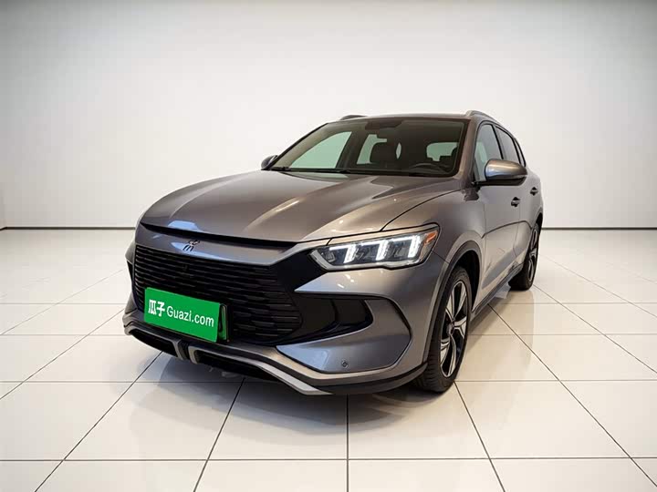 Song Pro New Energy 2023 Champion Edition DM-i 110KM Excellent Type
