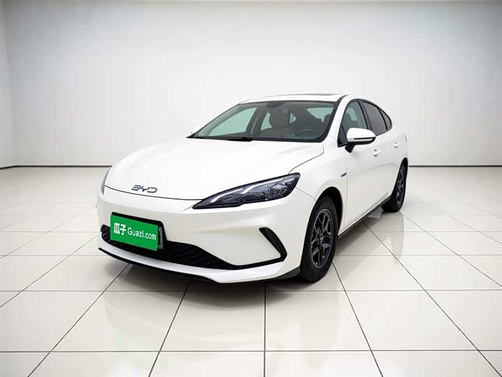 2025 Seal 05 DM-i 2025 DM-i smart driving version 55KM luxury model