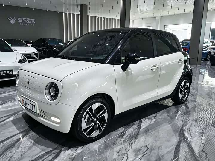 Model 351km Version