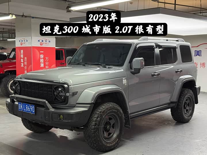 300 2023 Model Edition 2.0T Version