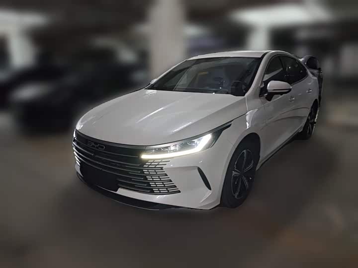 2024 Destroyer 05 2024 Honor Edition DM-i 120KM Luxury Type