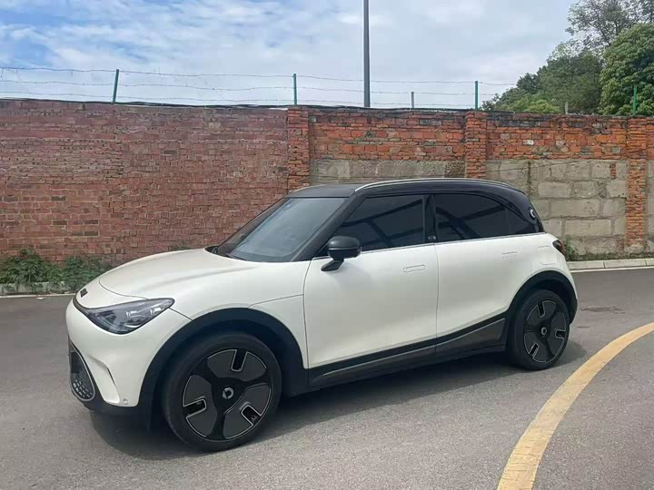 smart Elf #1 2024 Premium Edition