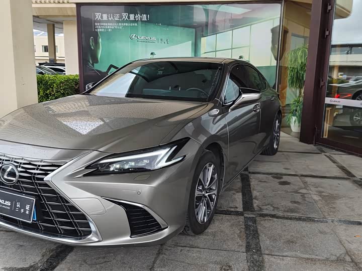 ES 2025 Model 300h Edition