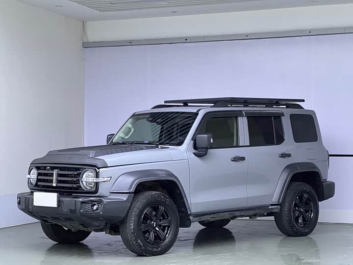 300 2021 Model Off-Road Edition 2.0T