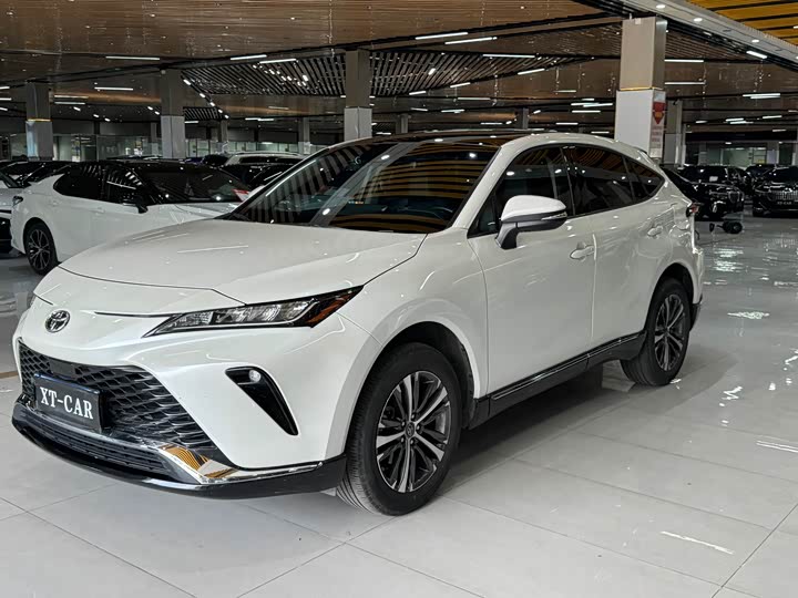 Vesa 2023 2.0L CVT two-wheel drive luxury version