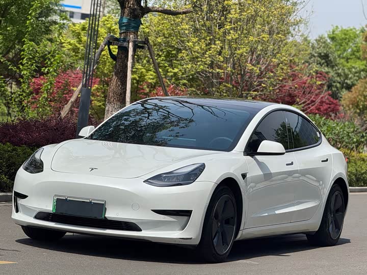 2021 Model 3 2021 Standard Range Rear Drive Upgraded Version
