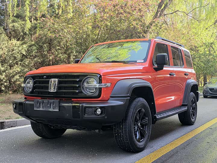 300 2023 Model Off-Road Edition 2.0T