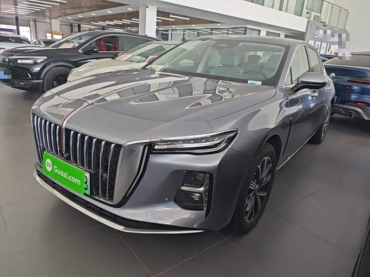 H5 PHEV 2025 Model 170 Edition