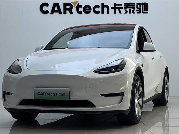 2021 Model Y 2021 standard range rear-wheel drive version