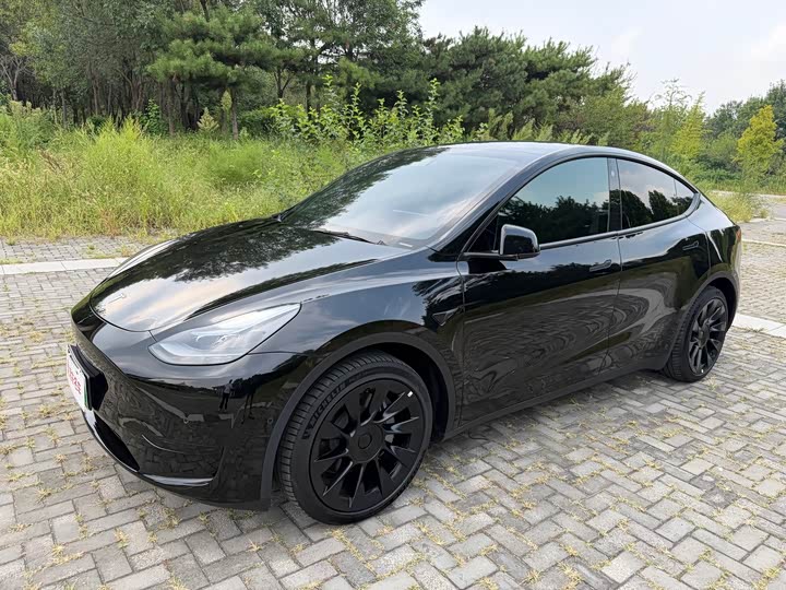 Model Y 2022 Model Edition
