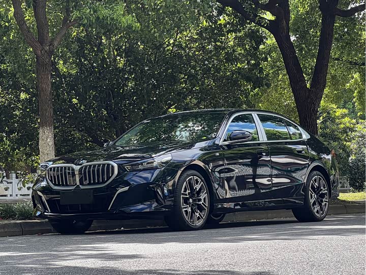 5 2025 Model 530Li Deluxe Version M