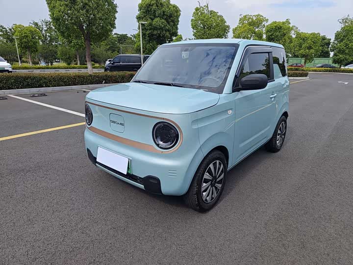 2025 Panda 2024 Panda mini 200km endurance bear