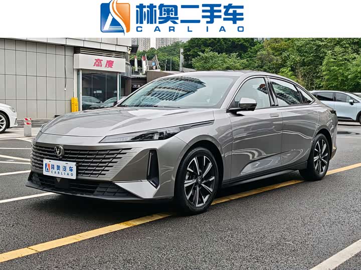 2023 Yida 2023 Blue Whale NE 1.5T GDI DCT Pilot Edition
