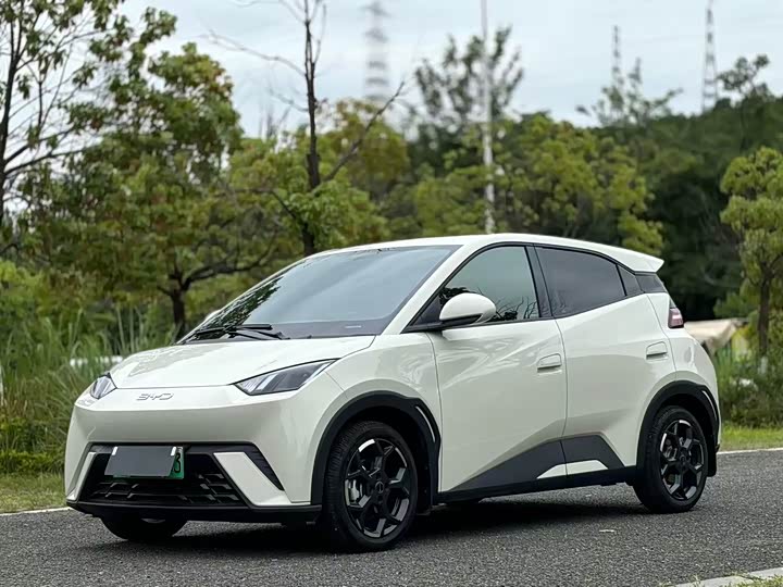 2024 Seagull 2025 305km Free Edition